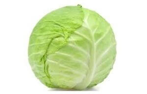 cabbage nutrient