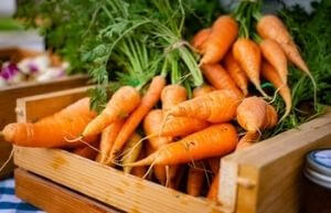 carrots for flat stomach reduction