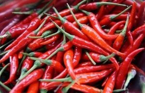 chilli pepper role in diet