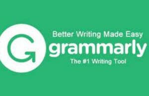 Grammarly Blogging Tools