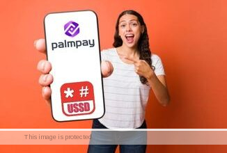 PalmPay USSD Code
