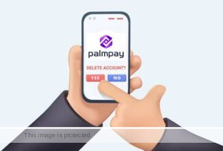 Delete PalmPay Account