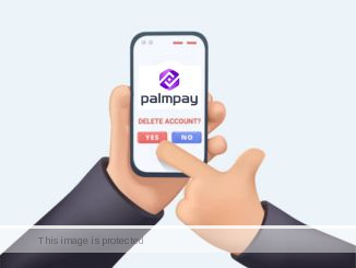 Delete PalmPay Account