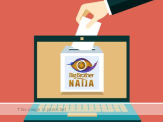 Vote on Big Brother Naija (BBNaija)