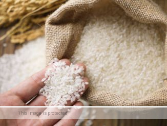 Rice Business in Nigeria